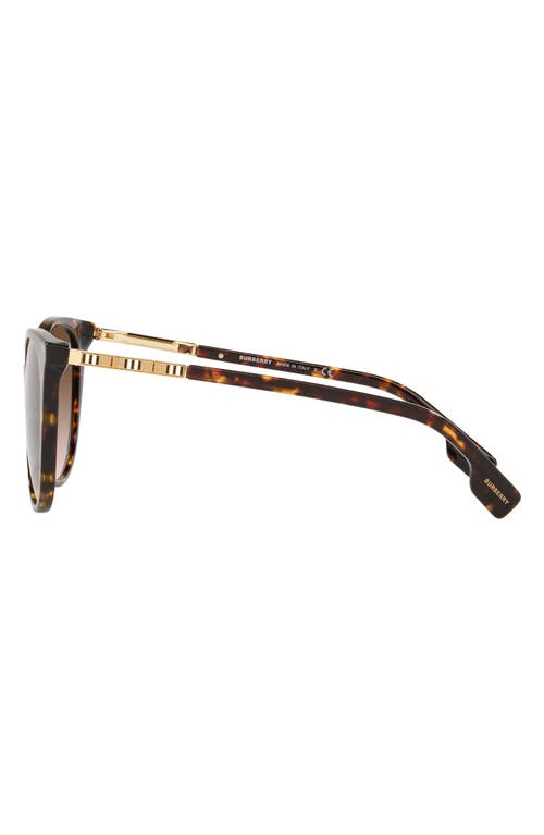Burberry Alice Brown Gradient Cat Eye Ladies Sunglasses Be4333 300213 55 In Brown