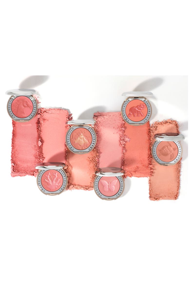 Philanthropy Cheek Shade Blush, Alternate, color, BLISS - BUTTERFLY