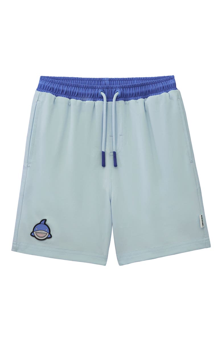 Roarsome Reef Swim Trunk, Main, color, Blue