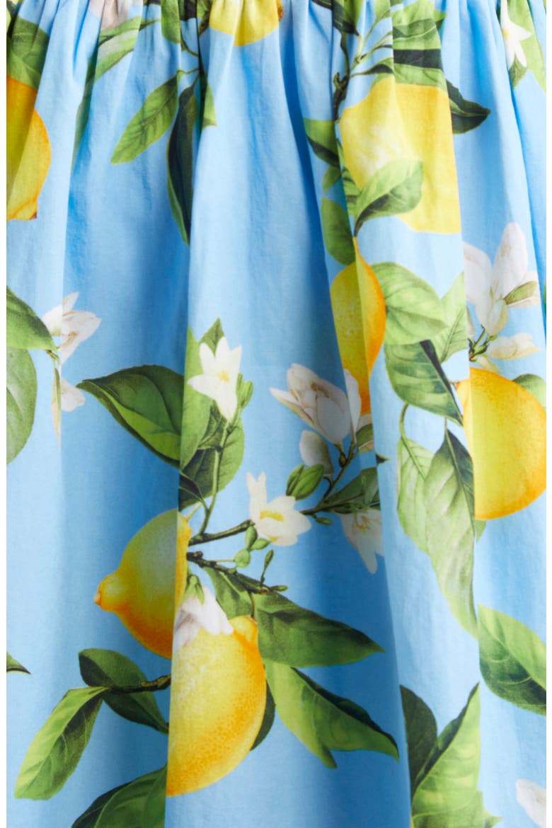 Jai Lemon Print Corset Minidress, Alternate, color, SKY BLUE/ YELLOW FLORAL LEMON