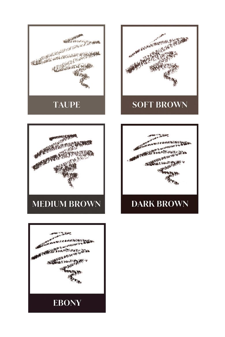 Brow Beginners Kit $55 Value, Alternate, color, EBONY