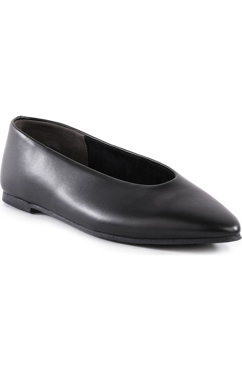 Seychelles Dreamer Pointed Toe Flat, Main, color,