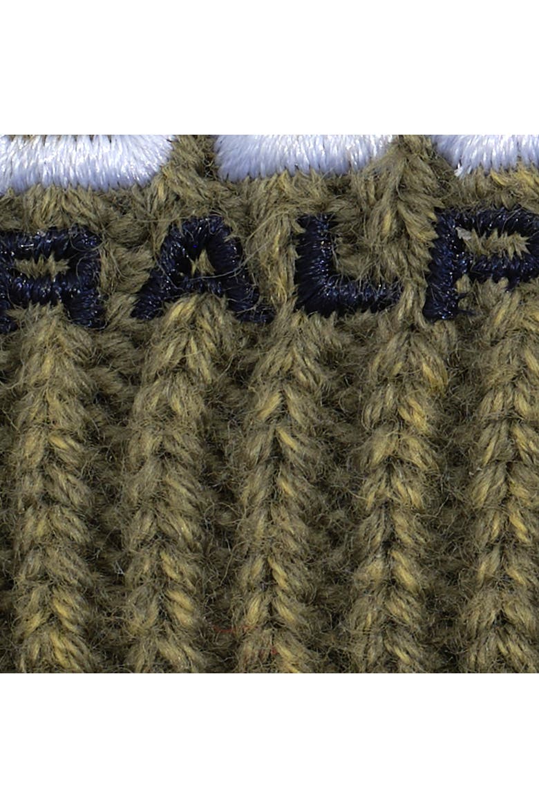 Desert Embroidered Polo Beanie, Alternate, color, Cruise Olive