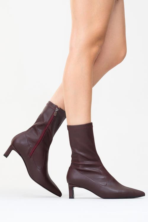 Prologue Shoes Lewin Pointed Toe Stiletto Boot In Burgundy