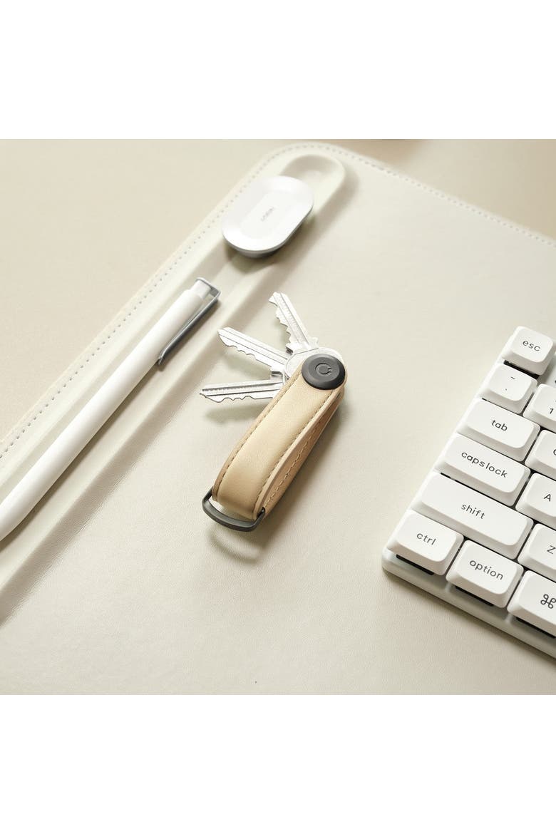Leather Key Organiser, Alternate, color, Sand