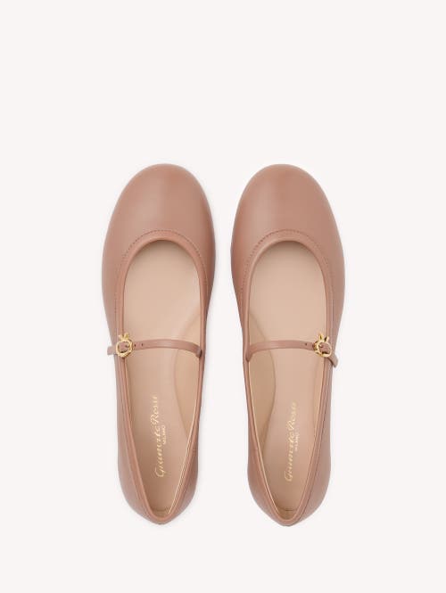 Gianvito Rossi Carla Ballet Flats In Pink
