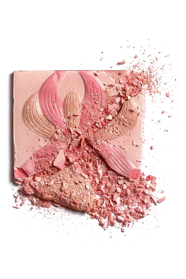 L'Orchidée Highlighter Blush, Alternate, color, 2 ROSE