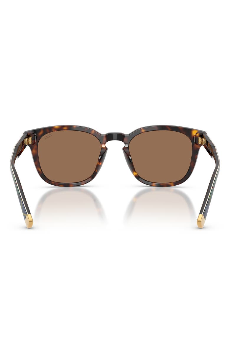 Polo Ralph Lauren 52mm Square Sunglasses, Alternate, color, Shiny Havana / Dark Brown