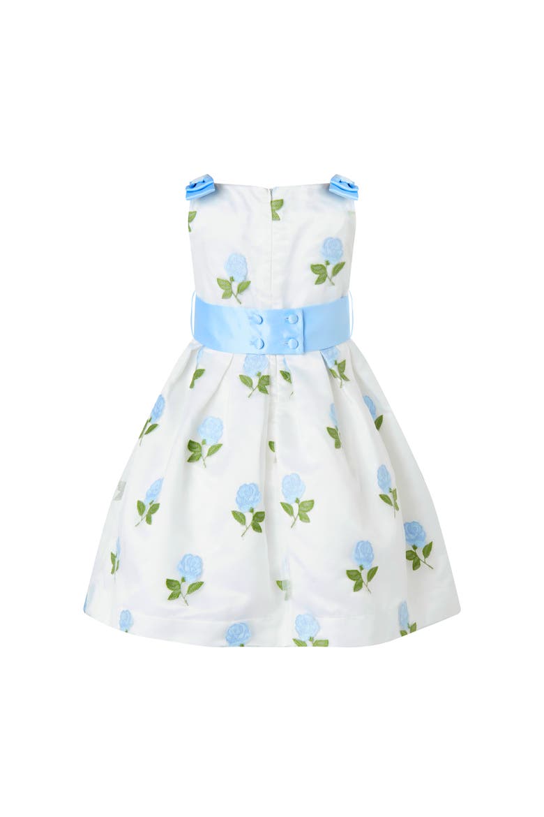 Rose Embroidered Organza Dress, Alternate, color, Blue