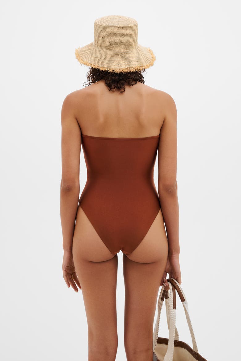 Erioa Cut Out Swimsuit, Alternate, color, Rust