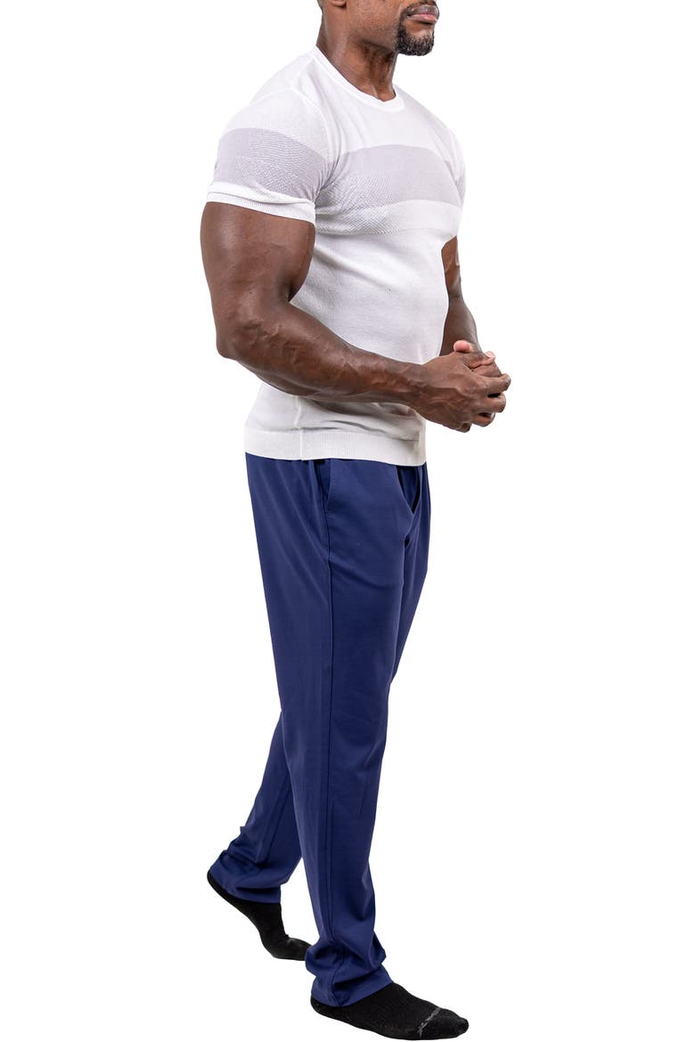 Marthyr Tapered Leg Drawstring Pants, Alternate, color, BLUE
