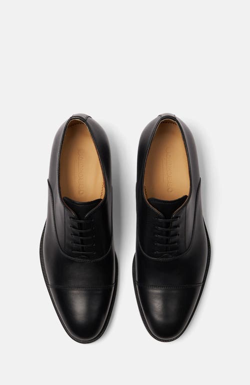 Scarosso Giove Oxfords