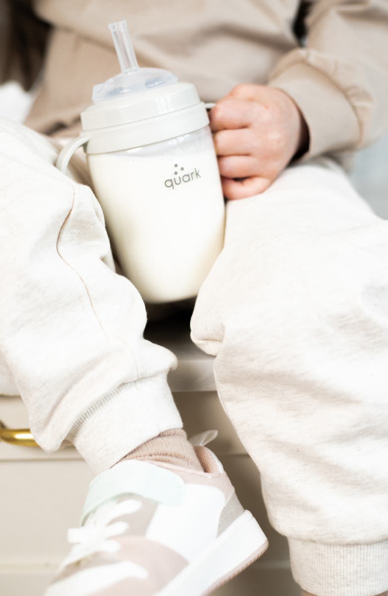 Quark Travel Bundle, Alternate, color, Grey