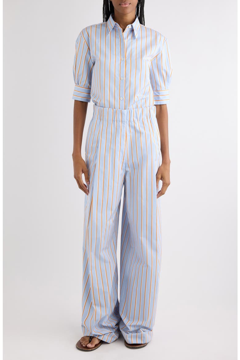 Celindo Super Compact Stripe Oversize Supima® Cotton Poplin Button-Up Shirt, Alternate, color, LIGHT BLUE