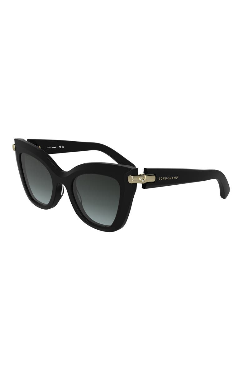 Roseau 50mm Gradient Cat Eye Sunglasses, Alternate, color, BLACK