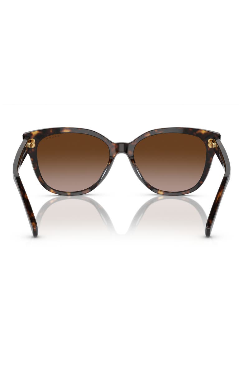 RA5305U 56mm Gradient Cat Eye Sunglasses, Alternate, color, BLACK HAVANA / GRADIENT BROWN
