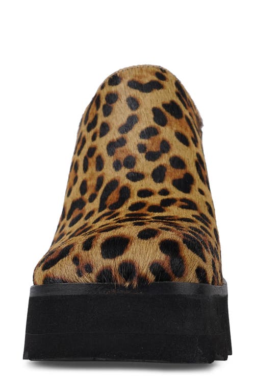 Candies Candie's Nichola Platform Clog