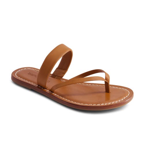 Bernardo Footwear Leia Thong Sandal In Luggage