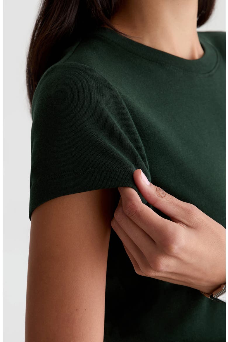 Sadie Crop T-Shirt, Alternate, color, PINE