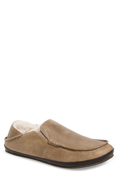 Olukai Moloa Genuine Shearling Convertible Slipper In Neutral