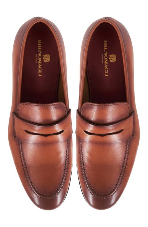 Bruno Magli Preston Penny Loafer In Cognac