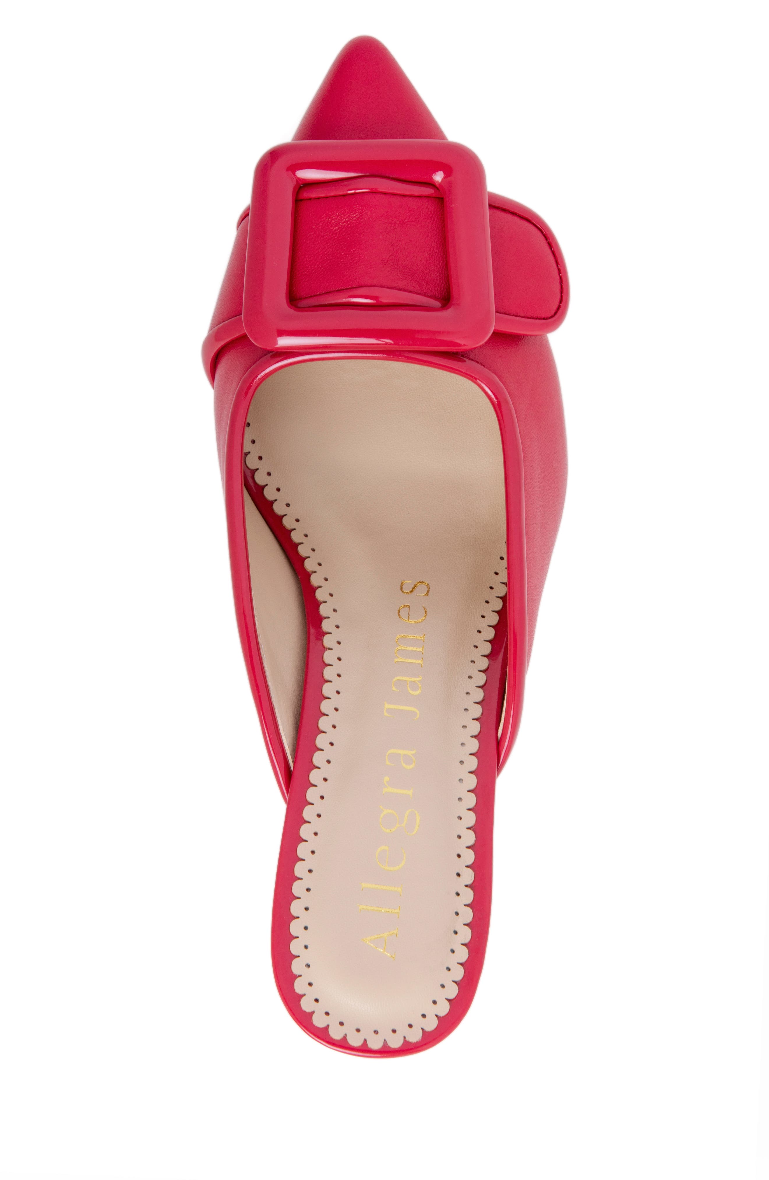 Allegra James Cara Leather Buckle Mule, Alternate, color, 