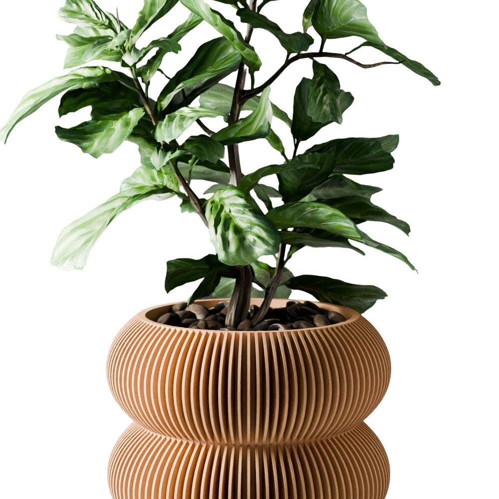 Natural Wood - 4.5"