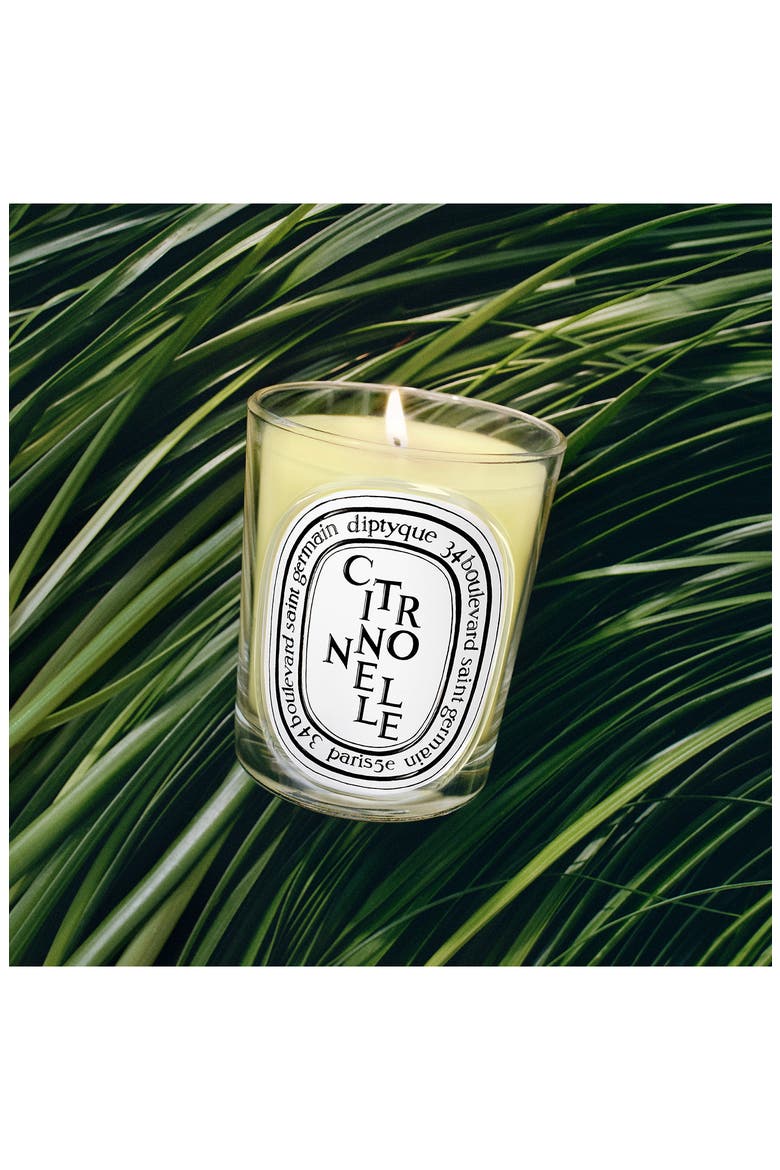Citronelle (Lemongrass) Classic Candle, Alternate, color, NO COLOR