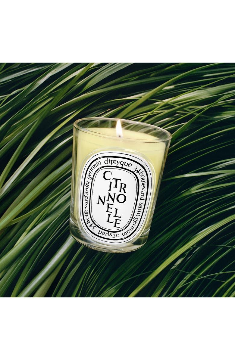 Diptyque Citronelle (Lemongrass) Classic Candle, Alternate, color, 