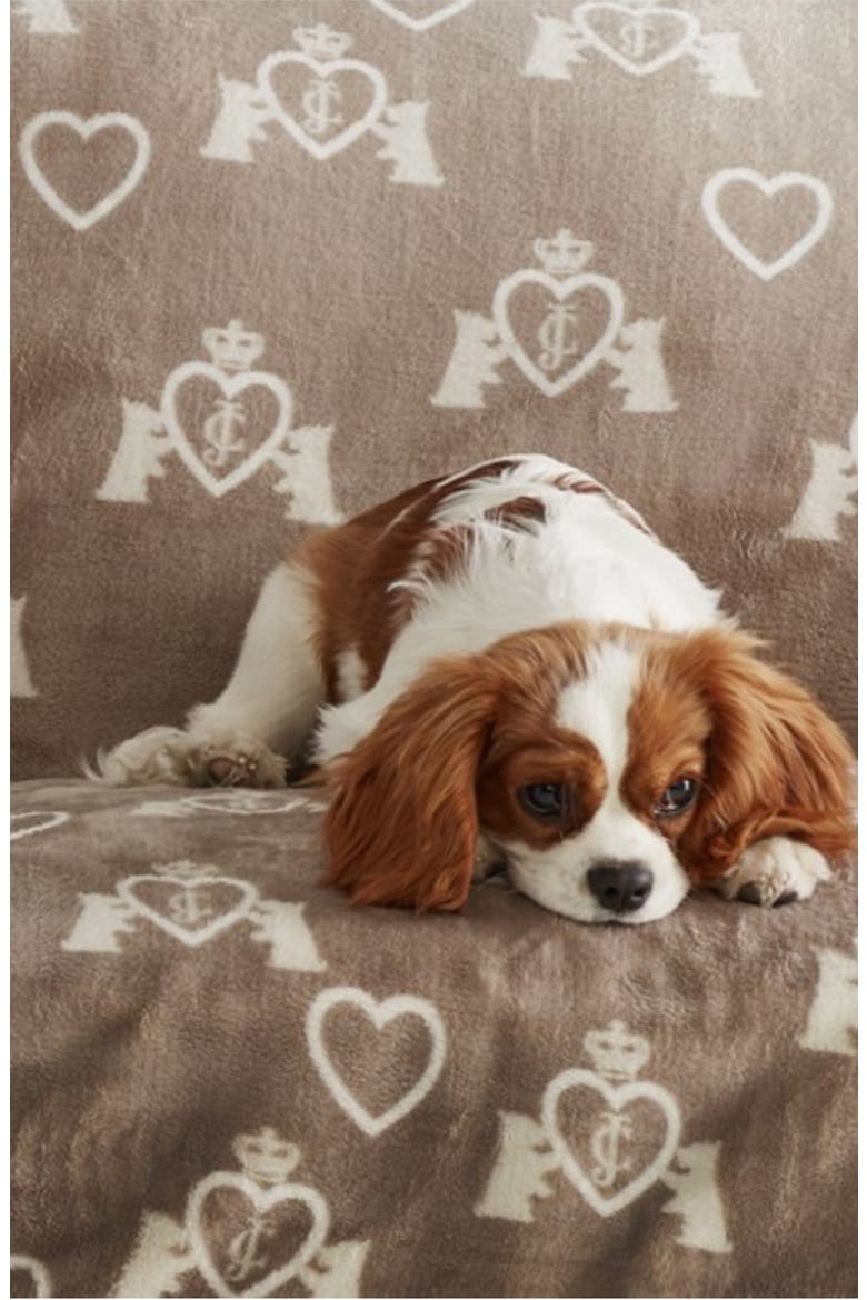 Pet Throw Blanket, Alternate, color, SCOTTIES