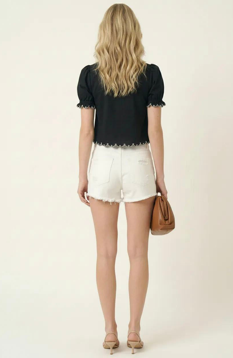 Modenaire Puff Sleeve Embroidered Front Tie Blouse, Alternate, color, Black / White