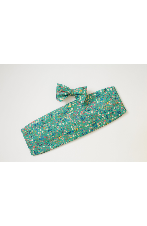 Beau Ties Of Vermont Buckingham Bow Tie In Green