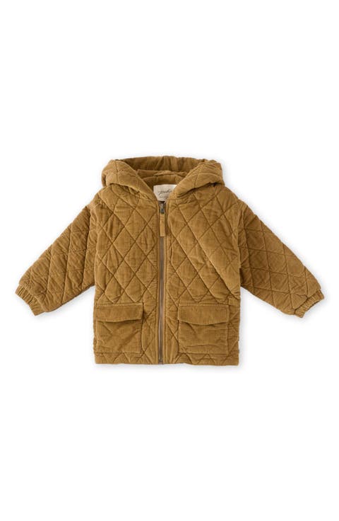 Organic Cotton Corduroy Quilted Hooded Jacket (Baby)
