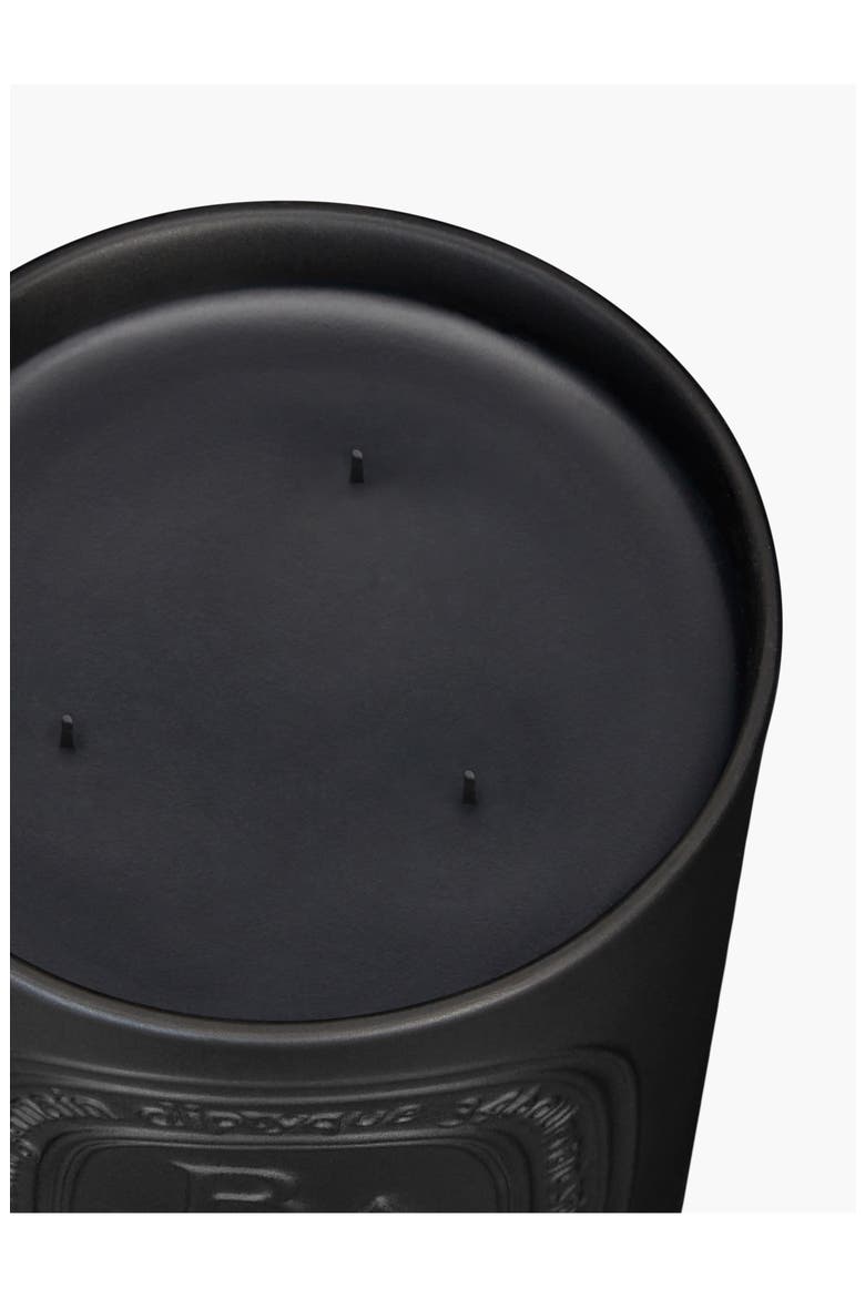 Baies (Berries) Large Scented Candle, Alternate, color, BLACK VESSEL
