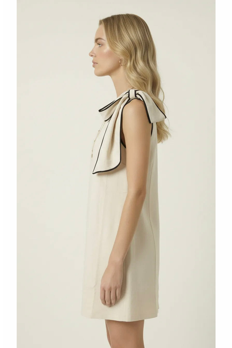 Contrast Trim Bow Mini Dress, Alternate, color, Ivory
