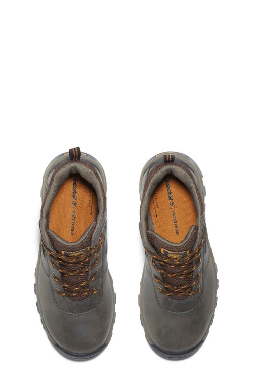 Timberland Kids' Mt. Maddsen Waterproof Hiking Boot In Dark Brown