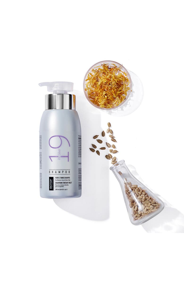 Biotop Professional 19 Pro Silver Shampoo, Alternate, color, 8.45Oz