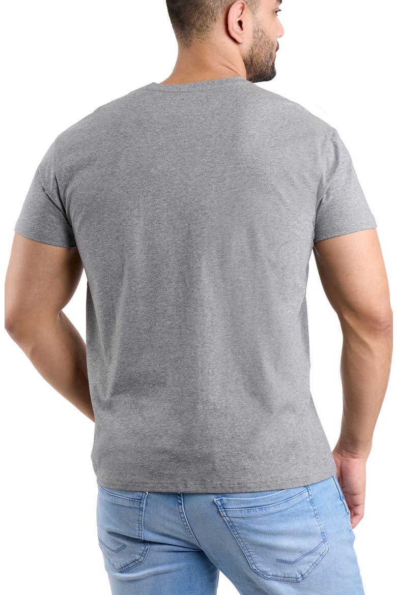V-Neck Flex T-Shirt, Alternate, color, OATMEAL