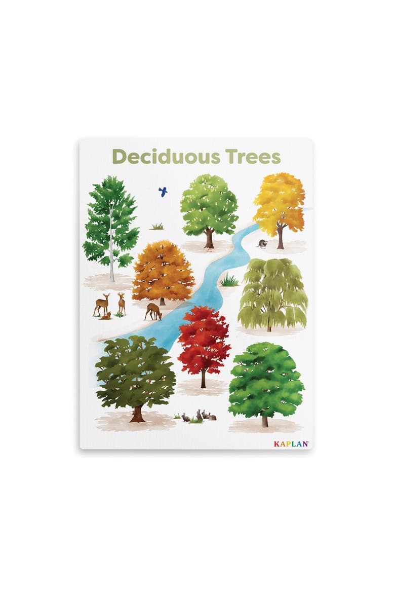 Deciduous Tree Giclee Classroom Wall Print, Main, color, green