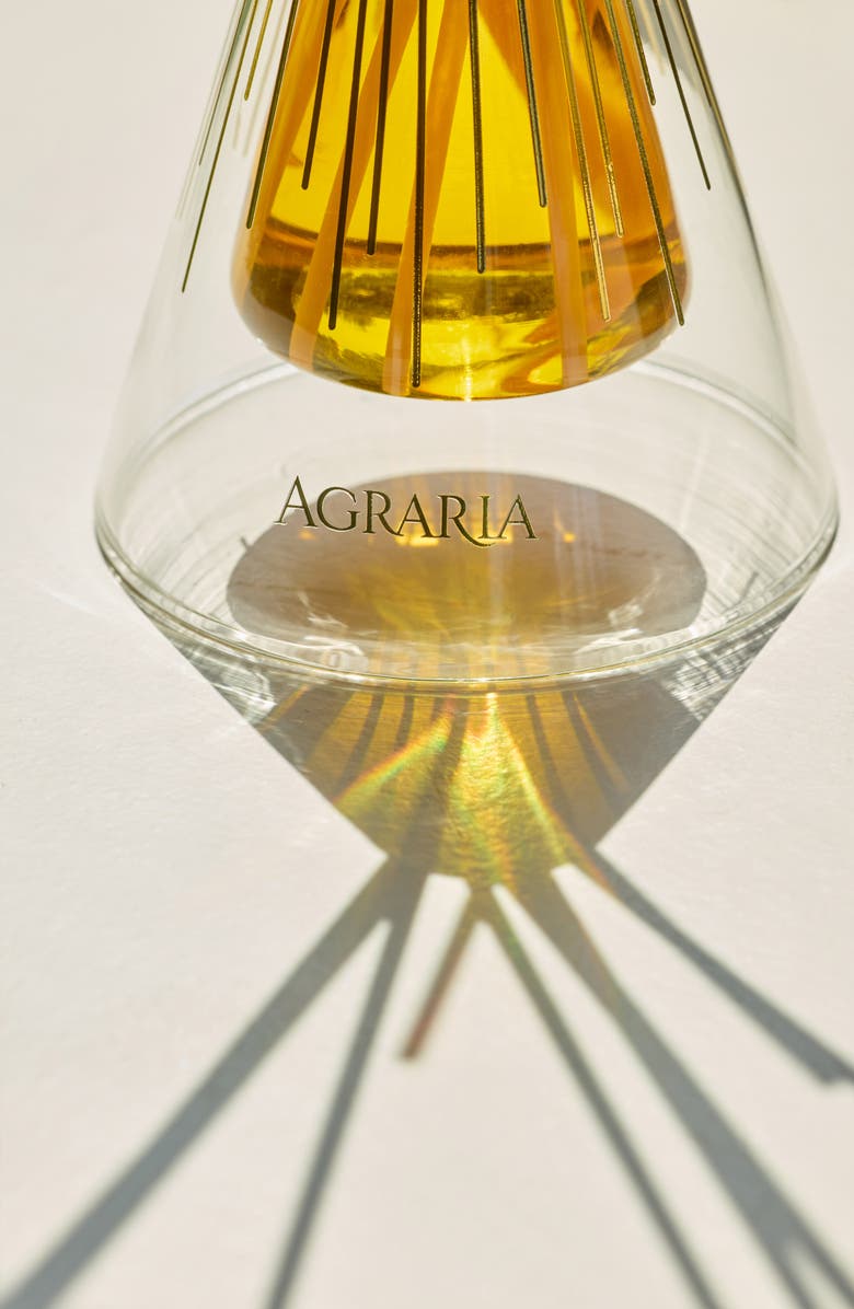 Agraria San Francisco Reed Diffuser, Alternate, color, Bitter Orange