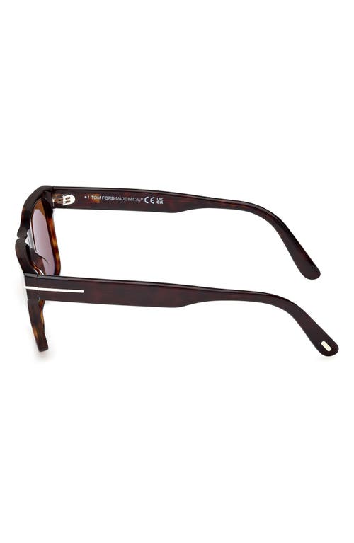 Tom Ford Calder 55mm Square Sunglasses In Shiny Dark Havana Eco