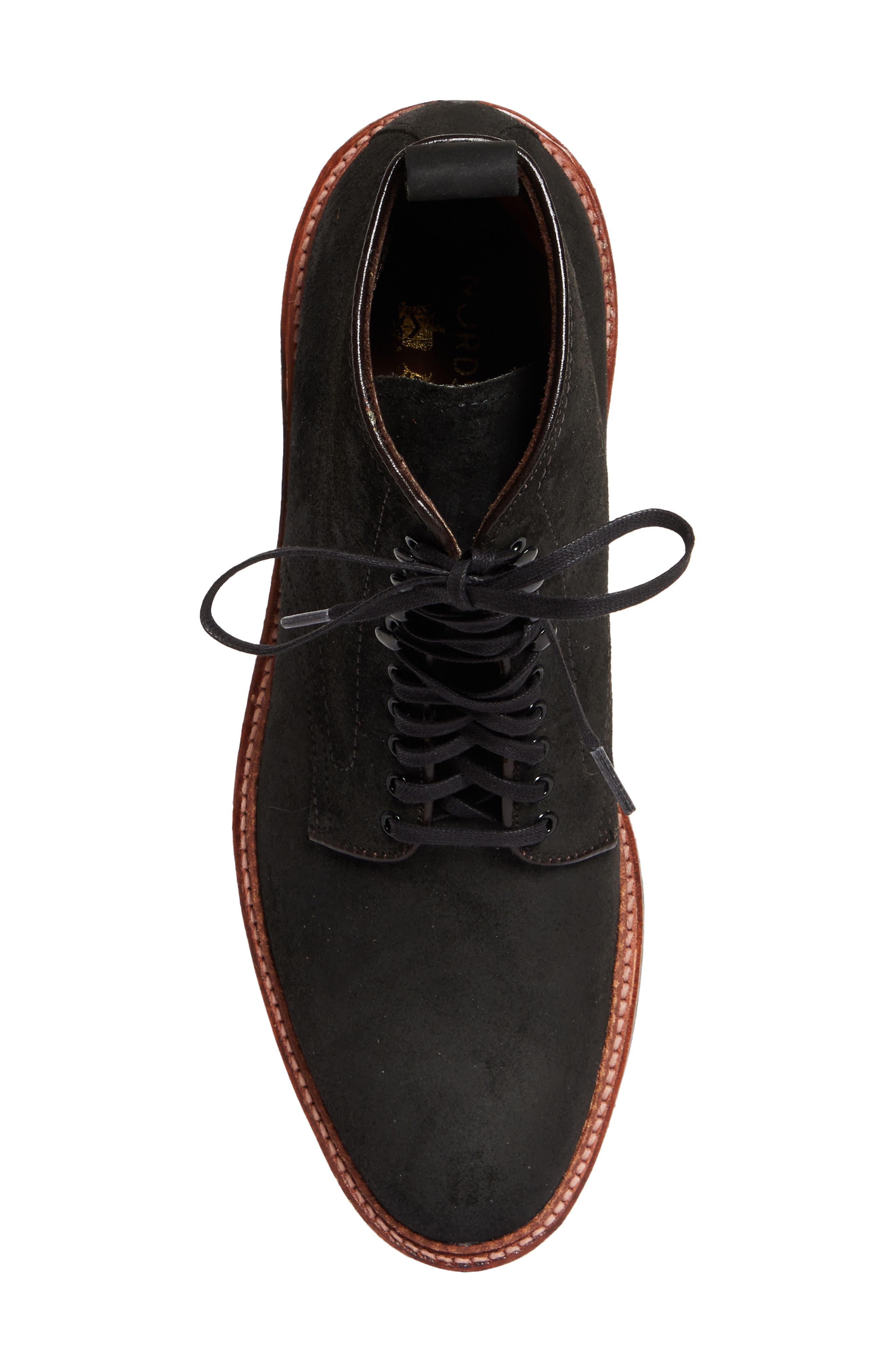 Alden Plain Toe Boot, Alternate, color, Black