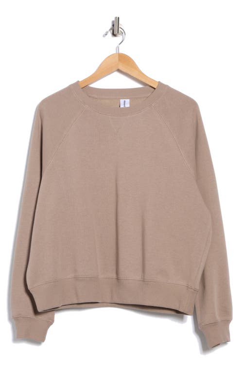 Abound Raglan Sleeve Sweatshirt In Brown