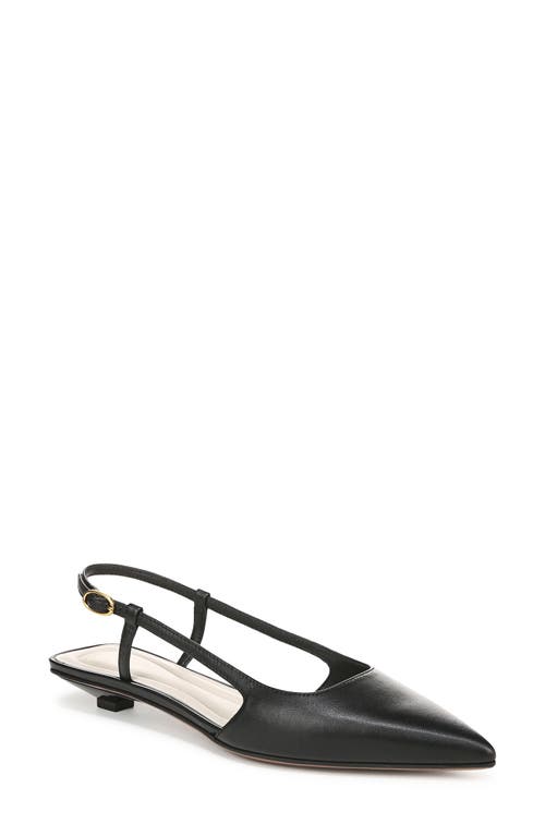 SARTO BY FRANCO SARTO SARTO BY FRANCO SARTO PHEBY SLINGBACK POINTED TOE FLAT 