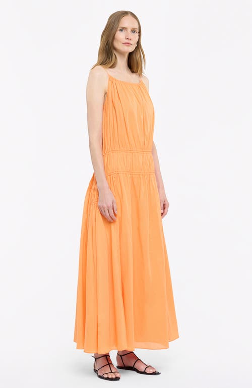 Shop Another Tomorrow Gathered Scoop Back Dress In Papaya