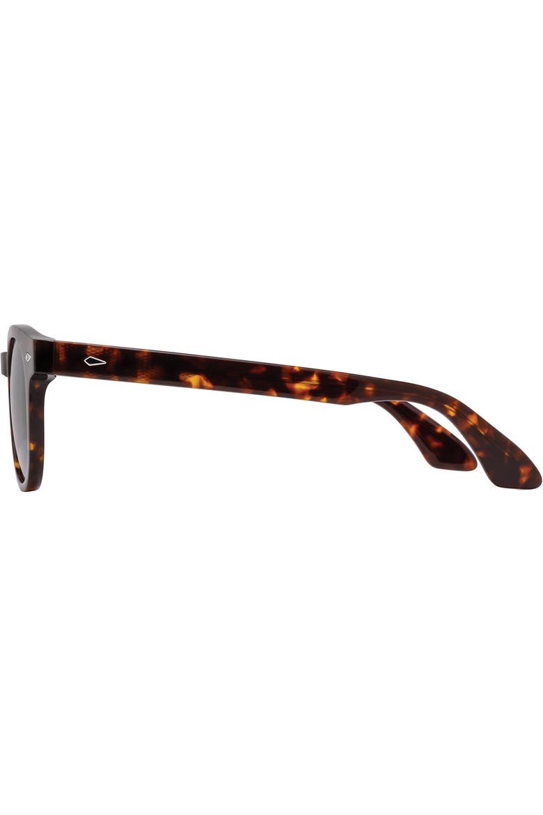 Hadley 48mm Round Nylon Non Polarized, Alternate, color, Amber Tortoise - GNN