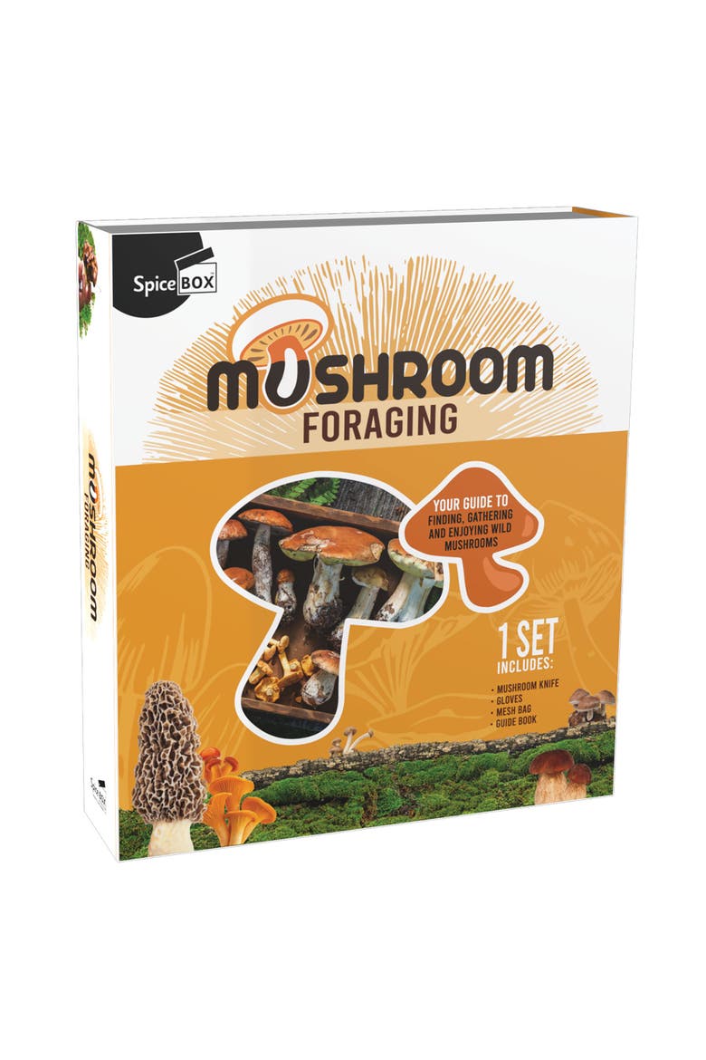 Mushroom Foraging Kit Become A Fungi Connoisseur, Main, color, Multicolored