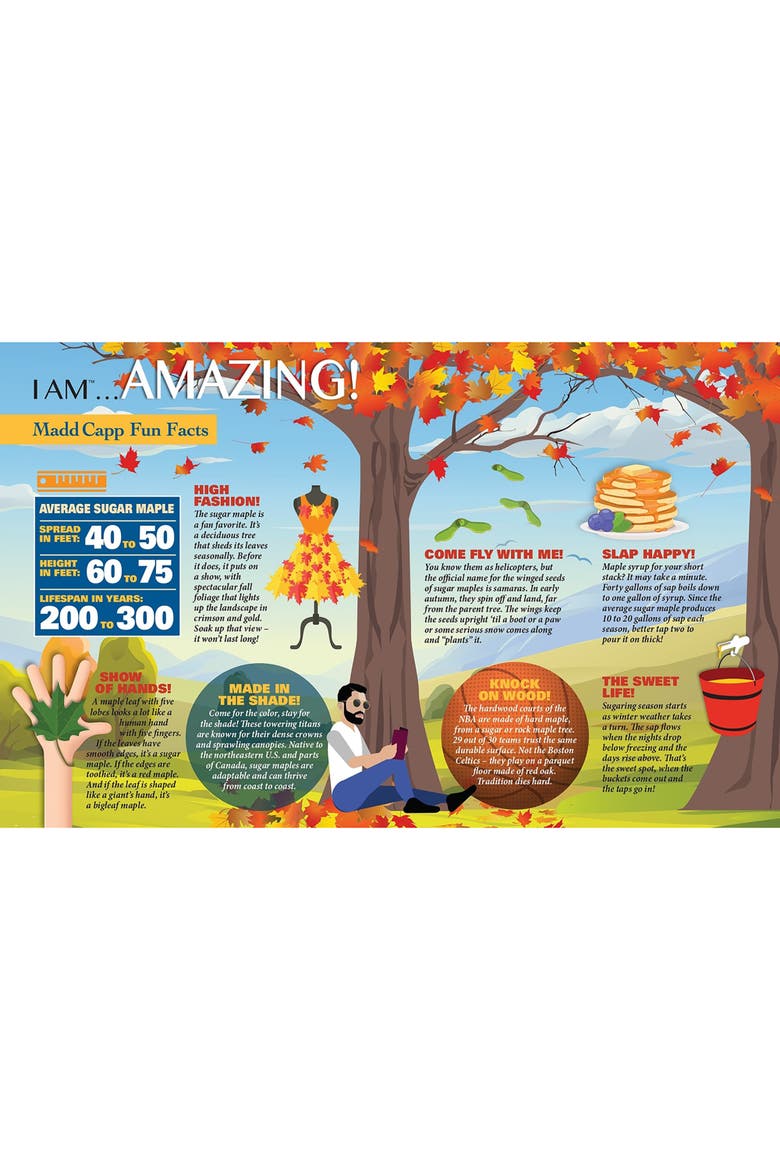 I Am Sugar Maple 1000 Piece Tree Shaped Jigsaw Puzzle, Alternate, color, Multicolored