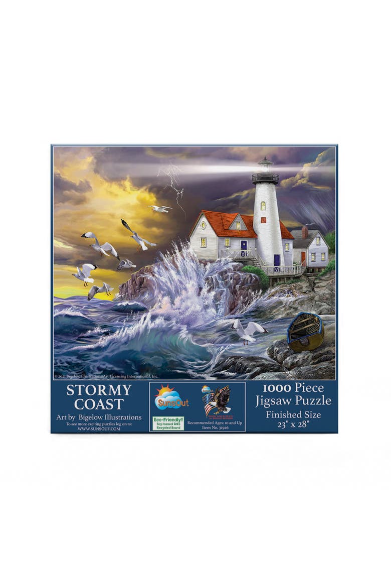 Stormy Coast 1000 piece Jigsaw Puzzle for Adults, Alternate, color, Multicolor
