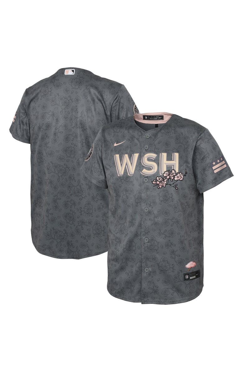 Nike Youth Nike Gray Washington Nationals City Connect Replica Jersey, Main, color, 